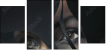 28242259