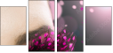 28365450