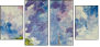 29135111