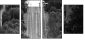 29227779