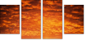 29892519