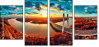 306790577