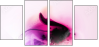 31395557