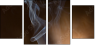 32102145