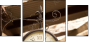 33620946