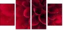 33891278