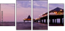 33920389