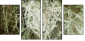 35814407