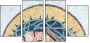 36471508