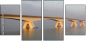 36477727