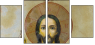 36639002