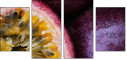36705995