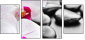 40051892