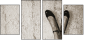 40085175