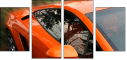 4095546