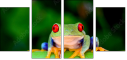 42467641