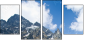 42660493