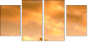 42979292