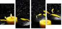 43880281