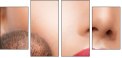 44016829