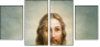 44247495