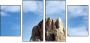 44360539