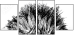 44646006