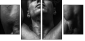 45026445