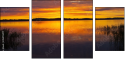 45070477