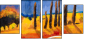 45337406