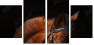 46187059
