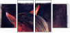 46243808