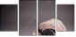 46421983