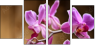 48156250