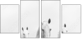 48172721