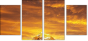 48905885