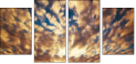 49042592