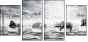 49167138