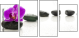 49566256