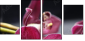 49633319