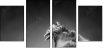 49654340
