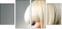 50250548
