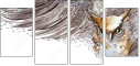 50509602