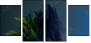 50564432