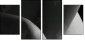 51083503