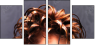 51430961