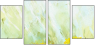 51719241
