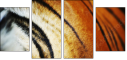 51974402