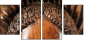 52004103