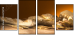 52670728